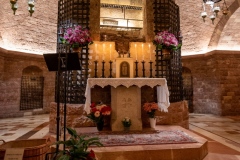 20230511-20230511-DSC_8256-1